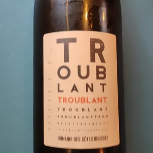 Troublant - Domaine des Côtes Rousses - Marielle & Nicolas Ferrand -2022