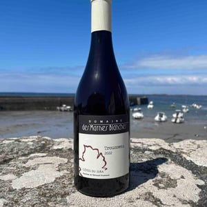 Trousseau - Domaine Des Marnes Blanches - pauline-geraud-fromont