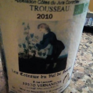 Trousseau - Les Coteaux du Val de Sorne - jean-francois-ryon