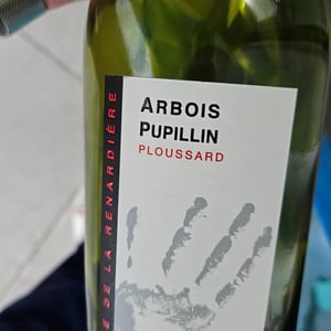 Trousseau - Domaine de la Renardière - jean-michel-laurence-et-leo-petit
