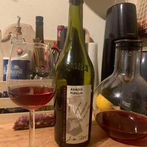Trousseau - Domaine de la Renardière - jean-michel-laurence-et-leo-petit