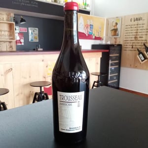 Trousseau Amphore - Domaine André & Mireille Tissot - benedicte-stephane-tissot