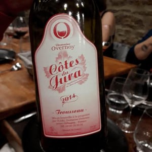 Trousseau - Domaine Overnoy - Guillaume Overnoy 
