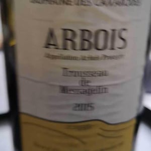 Domaine des Cavarodes - Etienne Thiebaud - Trousseau de Messagelin