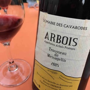 Trousseau de Messagelin - Domaine des Cavarodes - etienne-thiebaud