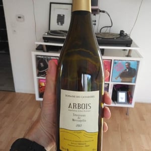 Domaine des Cavarodes - Etienne Thiebaud - Trousseau de Messagelin