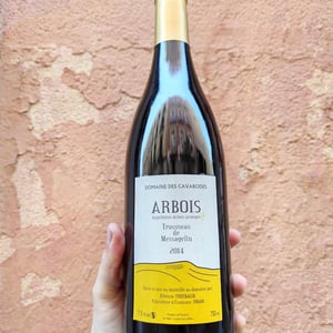 Trousseau de Messagelin - Domaine des Cavarodes - etienne-thiebaud