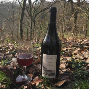 Trousseau des Corvées - Domaine de la Tournelle - evelyne-clairet