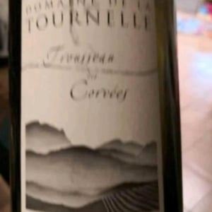 Domaine de la Tournelle - Evelyne Clairet - Trousseau des Corvées