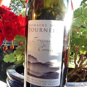 Domaine de la Tournelle - Evelyne Clairet - Trousseau des Corvées