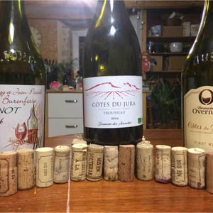 Trousseau - Domaine des Avanchés - laurent-bert