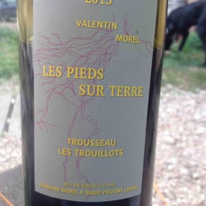 Trousseau Les Trouillots 2015