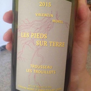Trousseau Les Trouillots - Les Pieds Sur Terre - valentin-morel