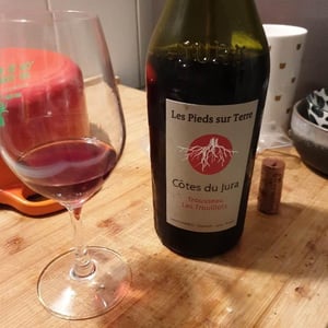 Trousseau Les Trouillots - Les Pieds Sur Terre - valentin-morel