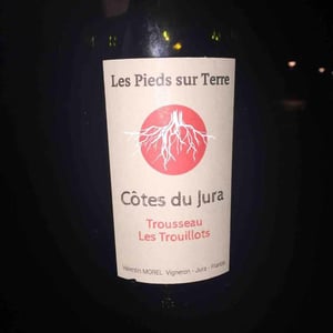 Les Pieds Sur Terre - Valentin Morel - Trousseau Les Trouillots