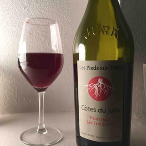 Les Pieds Sur Terre - Valentin Morel - Trousseau Les Trouillots
