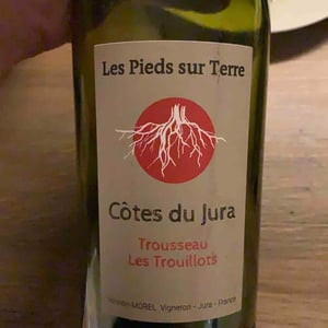 Trousseau Les Trouillots - Les Pieds Sur Terre - valentin-morel