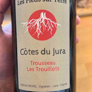 Les Pieds Sur Terre - Valentin Morel - Trousseau Les Trouillots