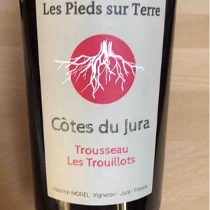 Les Pieds Sur Terre - Valentin Morel - Trousseau Les Trouillots