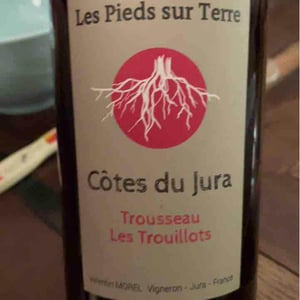 Les Pieds Sur Terre - Valentin Morel - Trousseau Les Trouillots