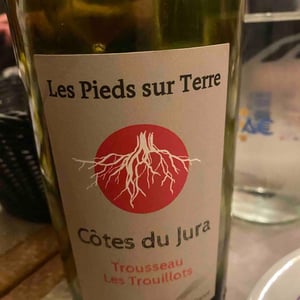 Les Pieds Sur Terre - Valentin Morel - Trousseau Les Trouillots