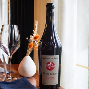 Trousseau Les Trouillots - Les Pieds Sur Terre - valentin-morel