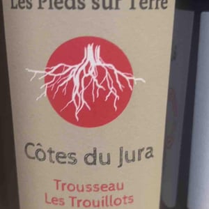 Les Pieds Sur Terre - Valentin Morel - Trousseau Les Trouillots