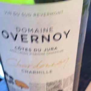 Trousseau - Domaine Overnoy - Guillaume Overnoy 