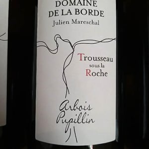 Trousseau Sous La Roche - Domaine de la Borde - julien-mareschal