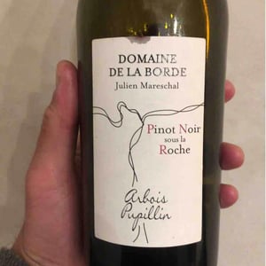 Trousseau Sous La Roche - Domaine de la Borde - Julien Mareschal 