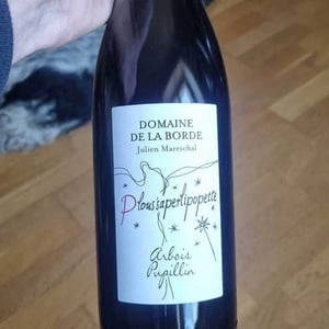 Trousseau Sous La Roche - Domaine de la Borde - Julien Mareschal 