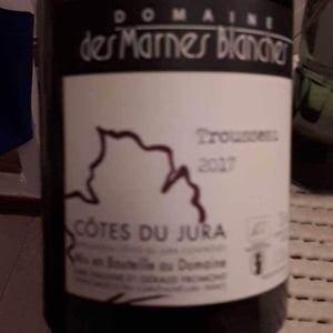 Trousseau - Domaine Des Marnes Blanches - pauline-geraud-fromont