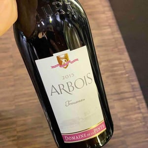 Domaine de la Pinte - Pierre Martin - Trousseau