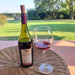 Trousseau - Domaine de la Pinte - Pierre Martin 