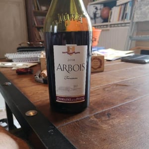 Domaine de la Pinte - Pierre Martin - Trousseau