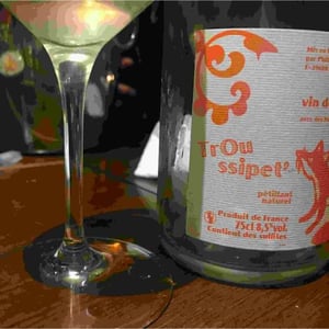 Domaine Bornard - Tony Bornard - Troussipet'