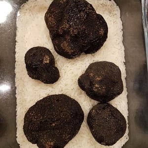 Truffes Noirs Du Périgord - Aymé Vadim - 510482
