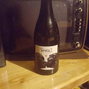 Tenta 2 - MicroBioWines - Ismael Gozalo 