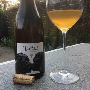 MicroBioWines - Ismael Gozalo - Tenta 2