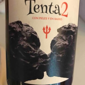 Tenta 2 - MicroBioWines - Ismael Gozalo 