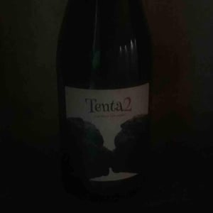 Tenta 2 - MicroBioWines - Ismael Gozalo 