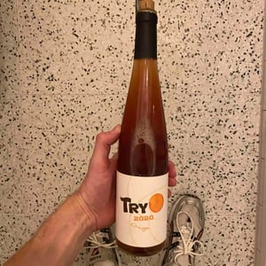 Domaine Gross - Rémy & Vincent Gross - Try'o