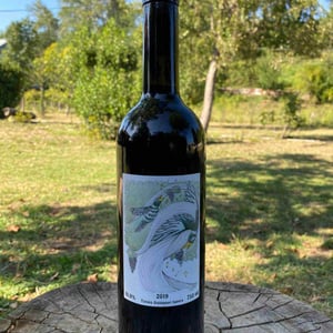 Tsitska - Otskhanuri Sapere - Makaridze Winery - gogita-keto-makaridze