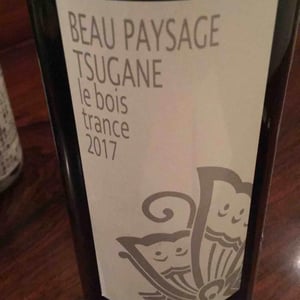 Tsugane "le bois trance" - Beau Paysage - Eishi Okamoto 