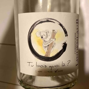 Tu bois quoi là ? Jaune - Lindenlaub - Christophe Lindenlaub -2021