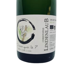 Tu bois quoi là ? Vert - Lindenlaub - Christophe Lindenlaub -2021
