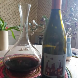 Mas del Périé - Fabien Jouves - Tu Vin Plus Aux Soirées