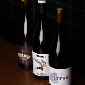 Tot Negre - Celler Tuets - albert-domingo -2019