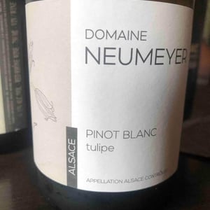 Tulipe - Domaine Neumeyer - jerome-neumeyer-frederic-tonner-marie-neumeyer-tonner