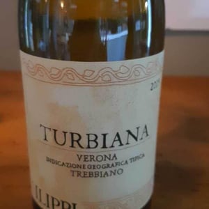 Turbiana - Visco & Filippi Azienda Agricola - filippo-filippi